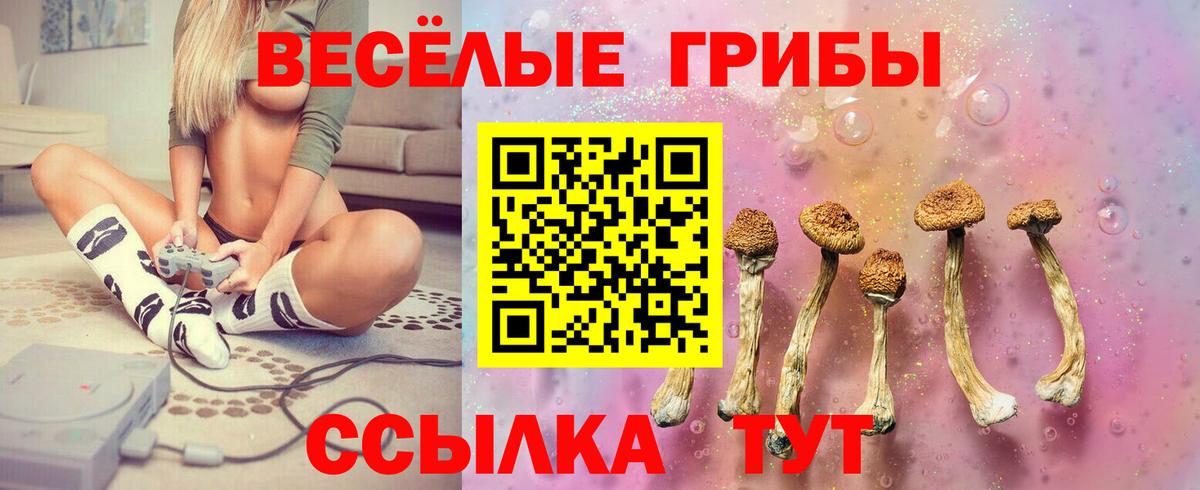 купить   Псилоцибиновые грибы Psilocybine cubensis  Кропоткин  Вход с VPN  Псилоцибиновые грибы мухоморы 